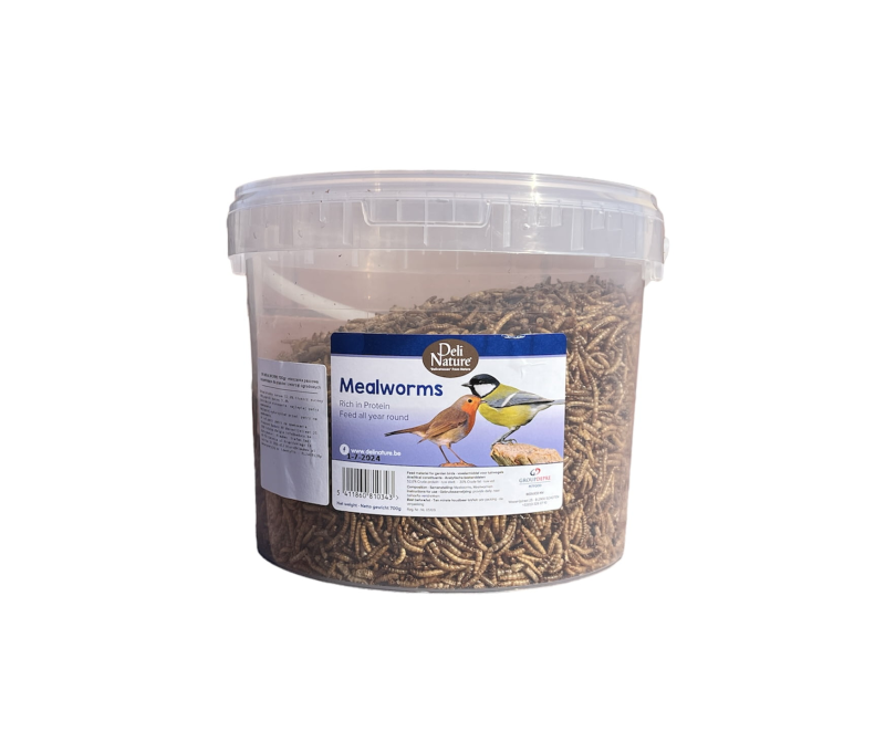 Deli Nature meelwormen emmer 700gr
